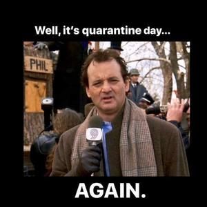 Meet your Posher, Robin